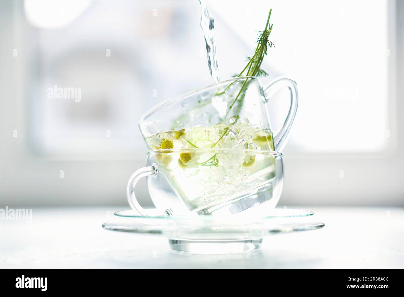 De l'eau chaude est versée sur des fleurs de camomille fraîches dans deux tasses en verre empilées l'une sur l'autre Banque D'Images