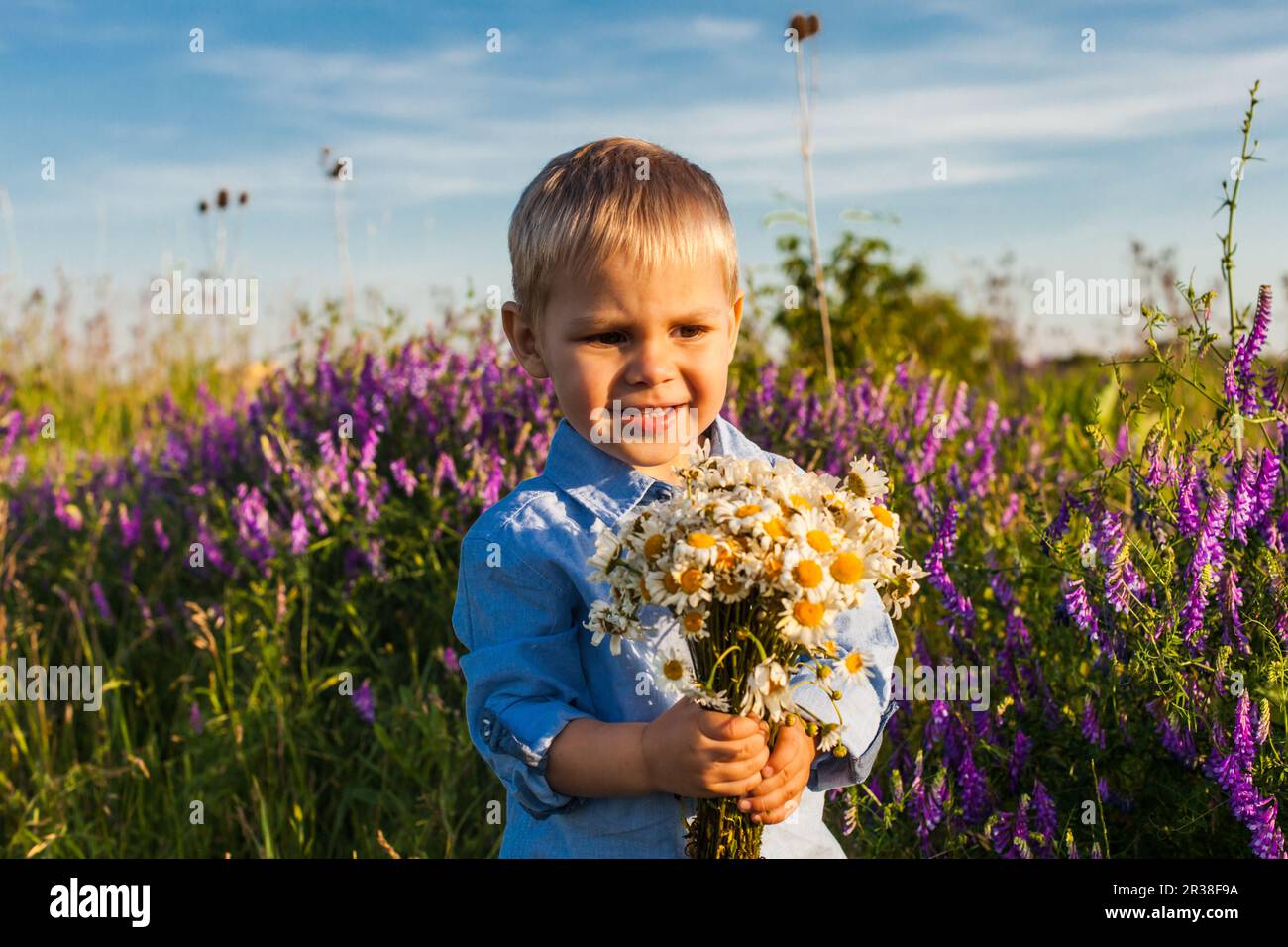 Cute boy avec wildflowers Banque D'Images
