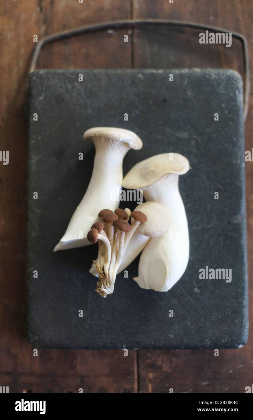 Divers champignons frais sur un plateau en pierre (vu d'en haut) Banque D'Images