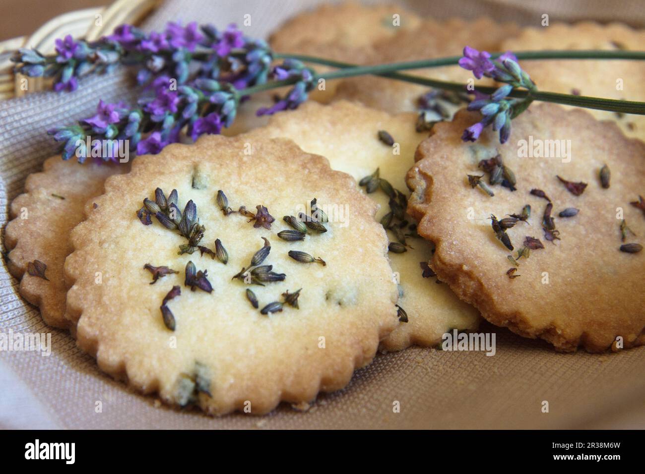 Biscuits à la lavande avec de la lavande anglaise (Lavendula angustifolia) Banque D'Images