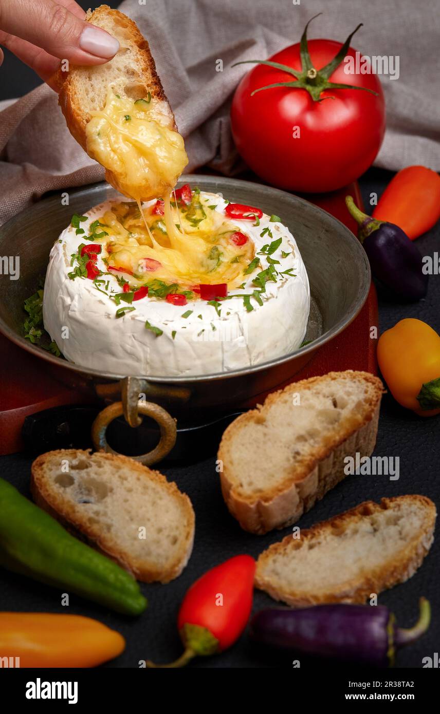 Femme trempant à la main une tranche de pain à l'intérieur du fromage Camembert fondu, assaisonné d'herbes et de poivrons Banque D'Images