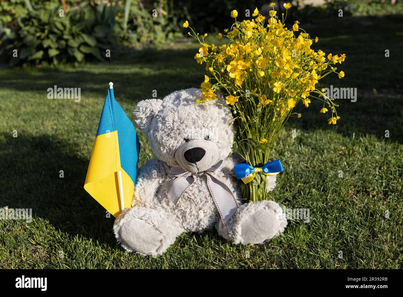Ours en peluche avec drapeau ukrainien, bouquet de fleurs de buttercup jaunes sur l'herbe. Les enfants contre la guerre. Concept de paix pour Ukrain. Foi en UKR Banque D'Images
