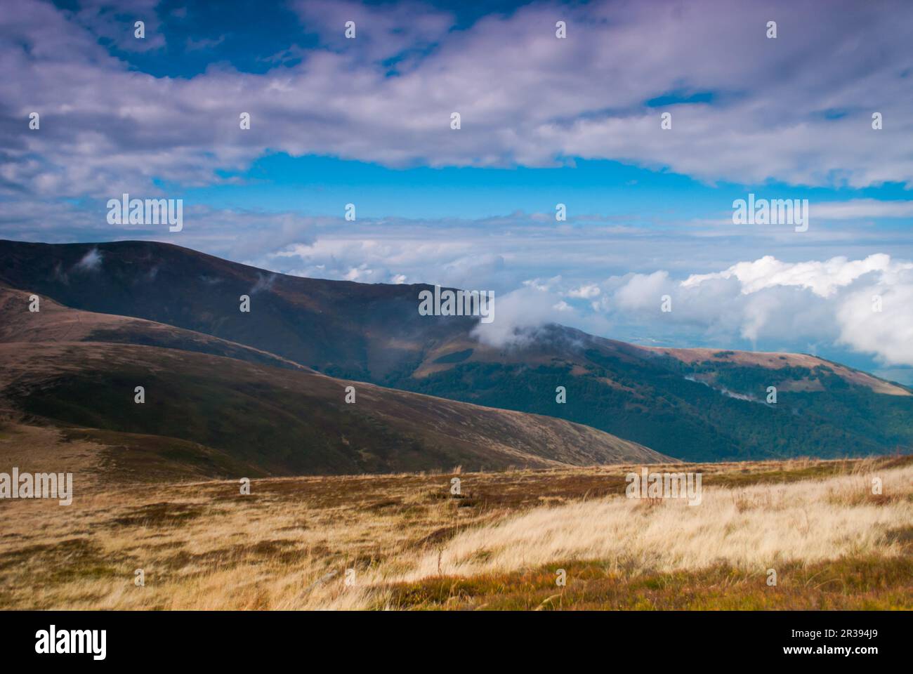 Paysage de montagne avec brume et nuages, été Banque D'Images