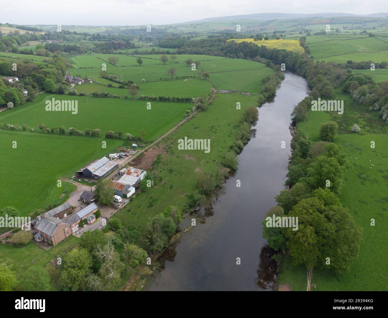 La rivière eden près du village d'Armathwaite à cumbria Banque D'Images