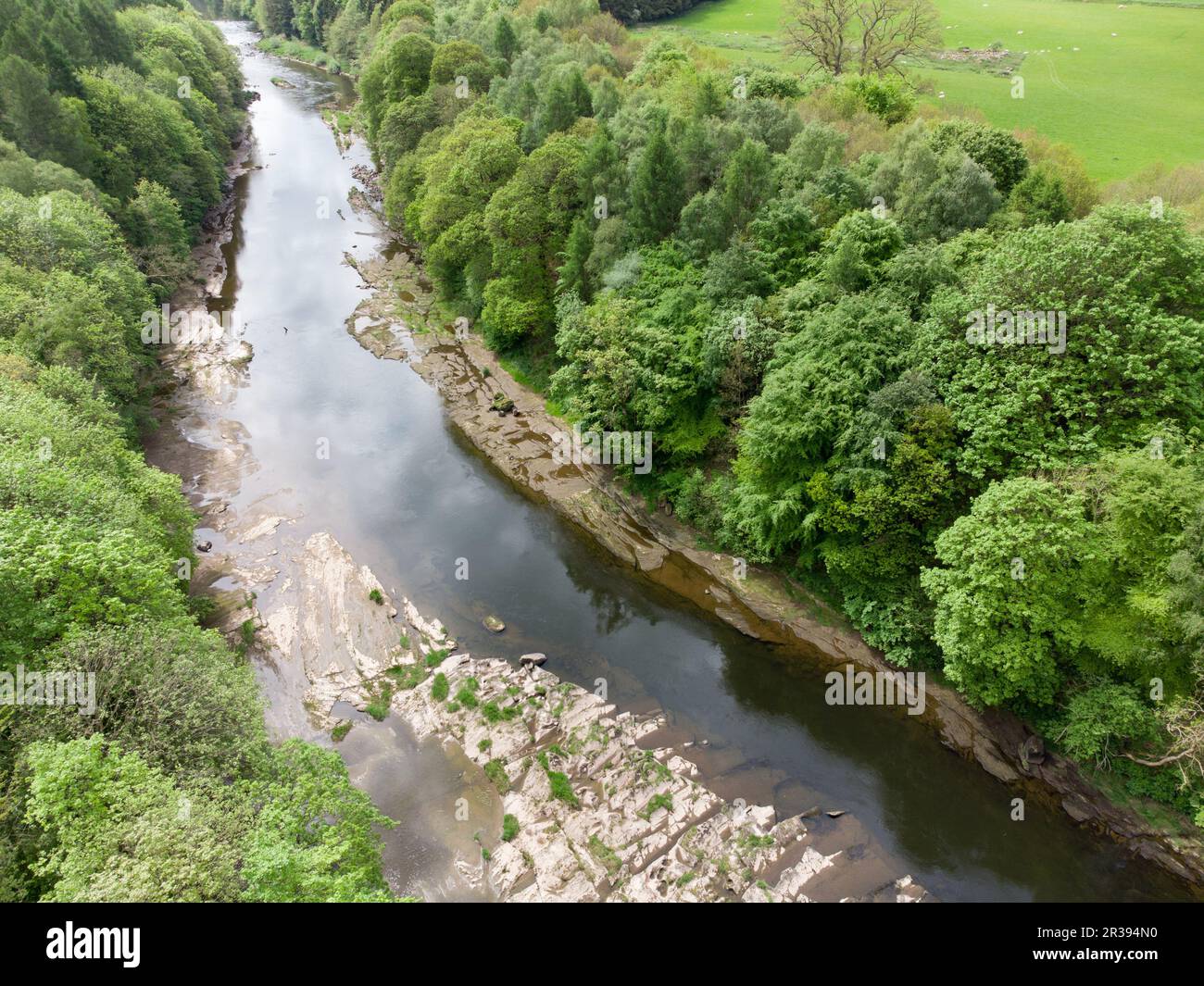 Basse eau dans la rivière Eden à Armathwaite, Cumbria Banque D'Images