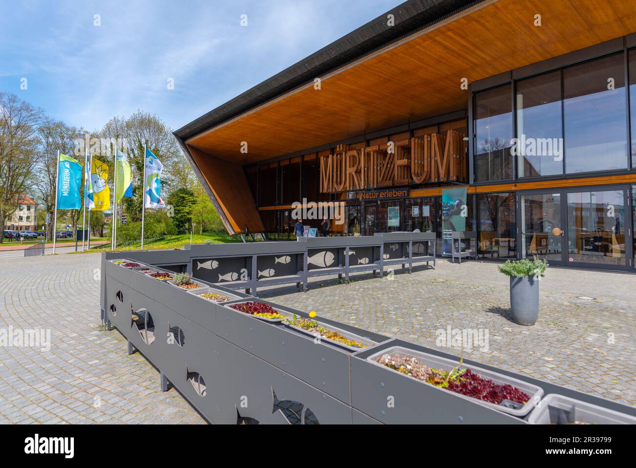 Musée et centre de la nature Mueritzeum, ville de Waren, Mueritz, Mecklembourg-Poméranie occidentale, Allemagne de l'est, Europe Banque D'Images