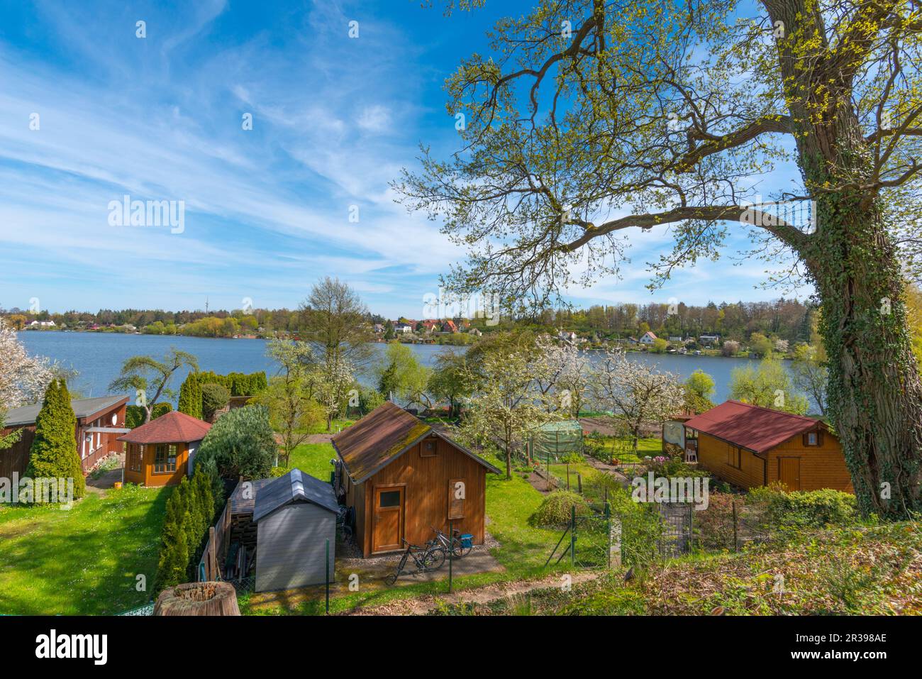 Terrain de jardin au bord du lac Tiefwarensee, ville Waren, Mueritz, Mecklemburgische Seenplatte, Mecklenburg-Poméranie occidentale, Allemagne de l'est Europe centrale Banque D'Images