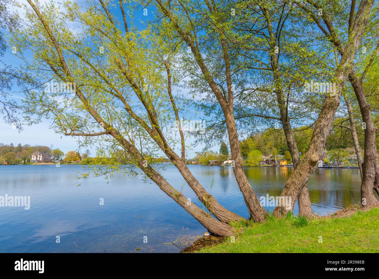 Terrain de jardin au bord du lac Tiefwarensee, ville de Waren, Mueritz, Mecklembourg-Poméranie occidentale, Allemagne de l'est, Europe Banque D'Images