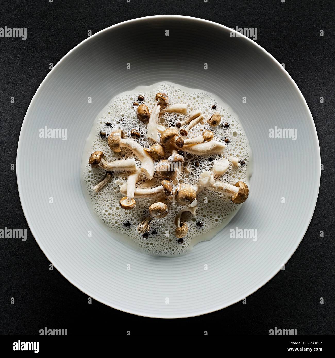 Champignons enoki sur une assiette avec mousse Banque D'Images