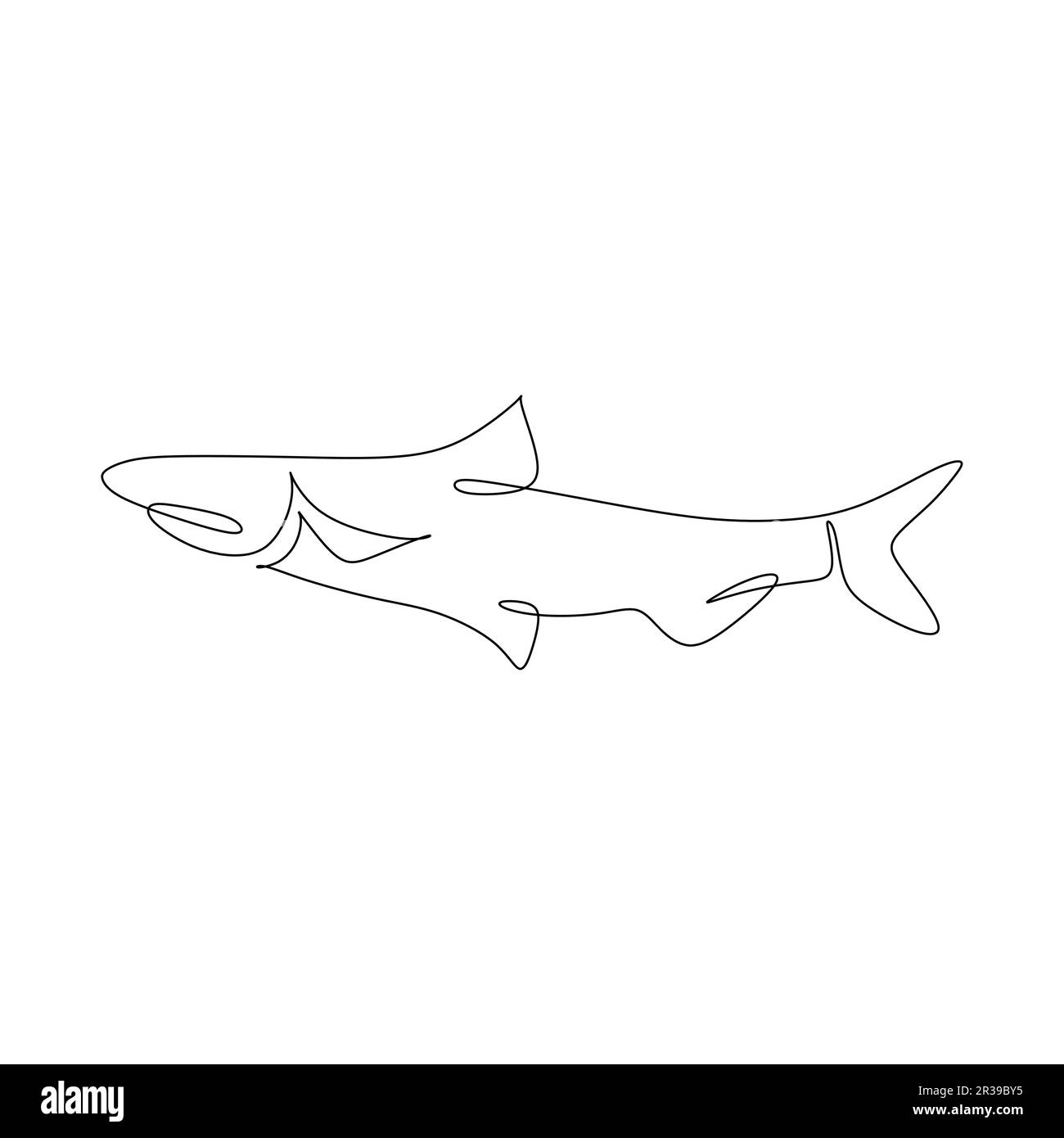 Dessin continu d'une ligne de saumon sur fond blanc. Illustration vectorielle Illustration de Vecteur