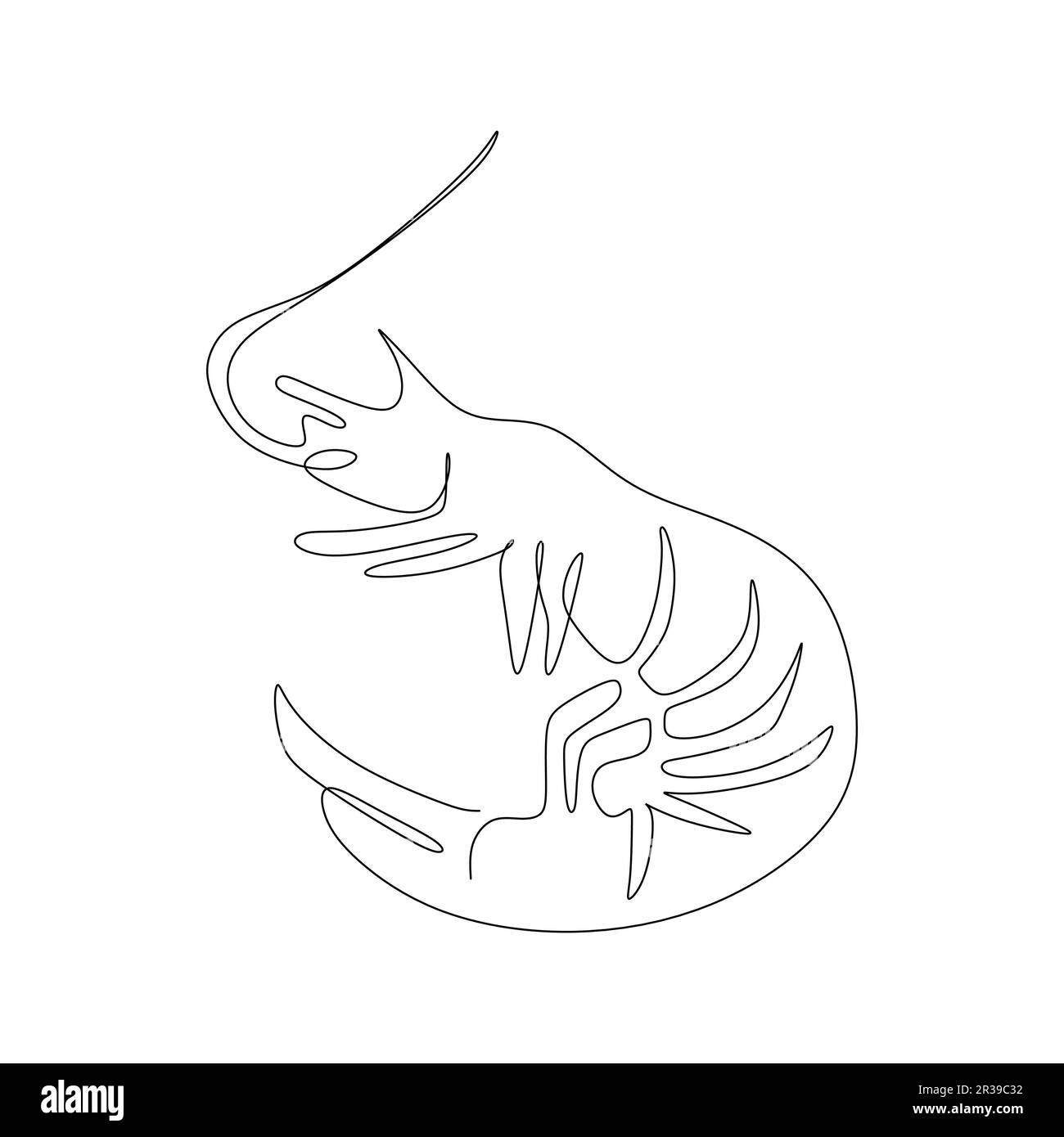 dessin de ligne continu de crevettes. Illustration vectorielle sur fond blanc. Illustration de Vecteur