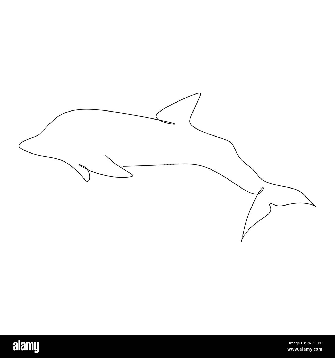 dessin continu d'un dauphin sur fond blanc. Illustration vectorielle Illustration de Vecteur