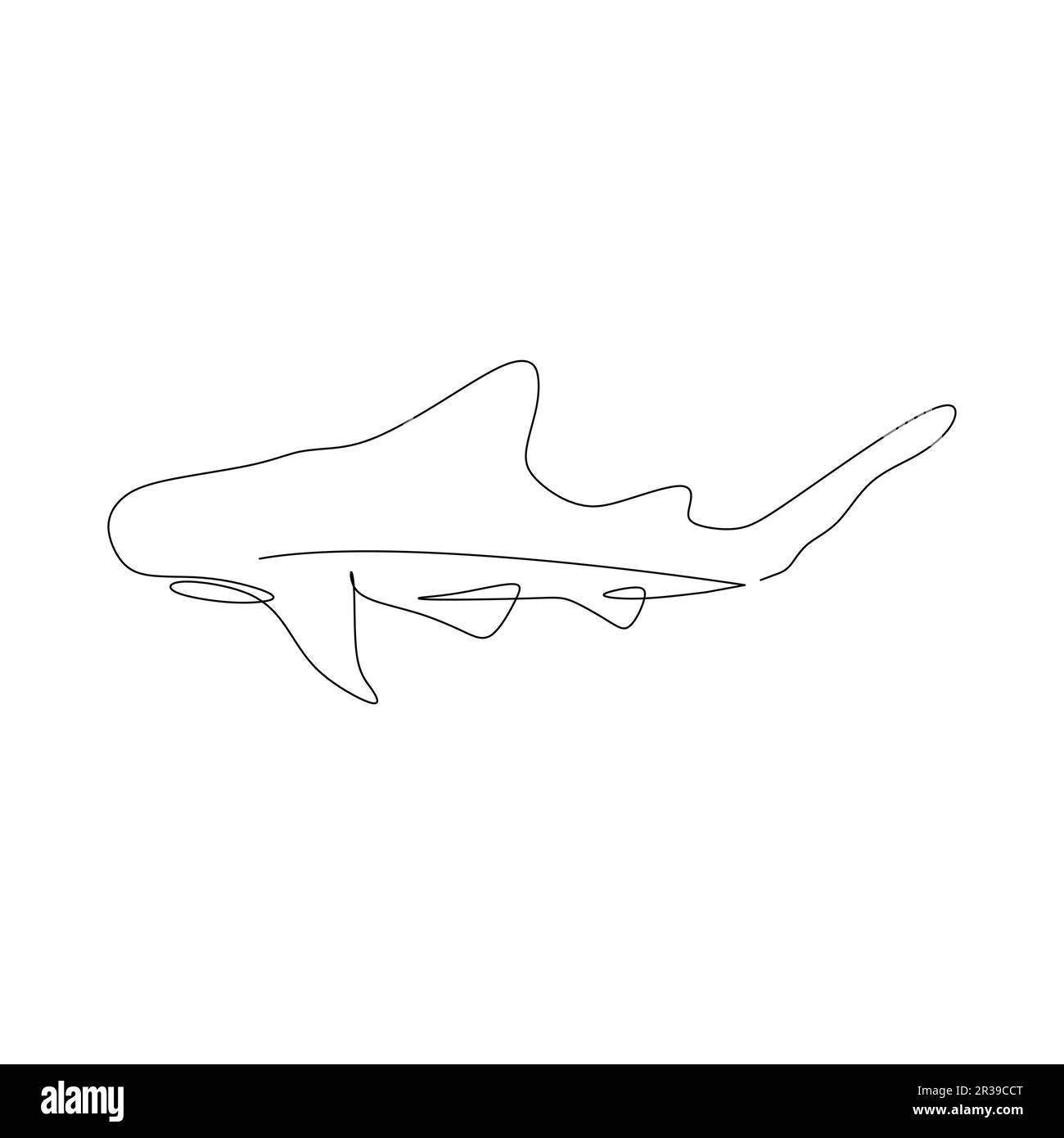 dessin d'un requin sur fond blanc, illustration vectorielle Illustration de Vecteur