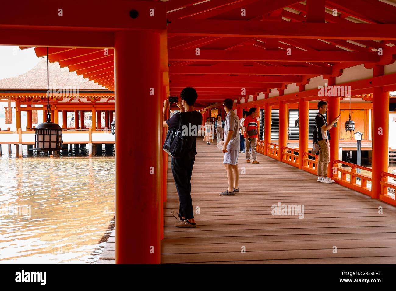 Miyajima Japon 22 Mai 2023 Les Touristes Visitent Le Jinja Itsukushima Miyajima Les 
