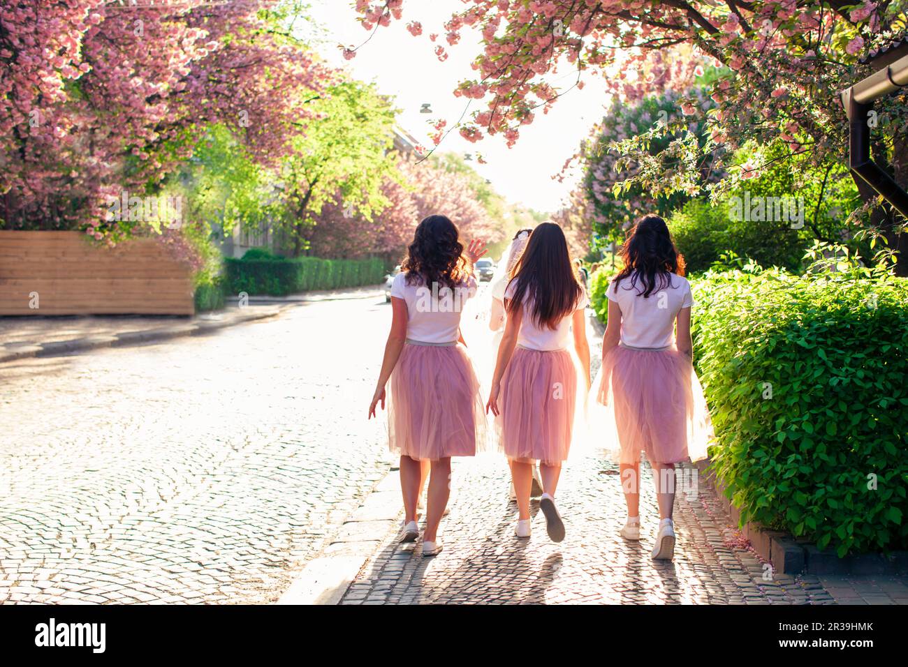 Groupe de copines marchant dans la rue de la ville au printemps tandis que l'arbre de sakura est en pleine floraison Banque D'Images