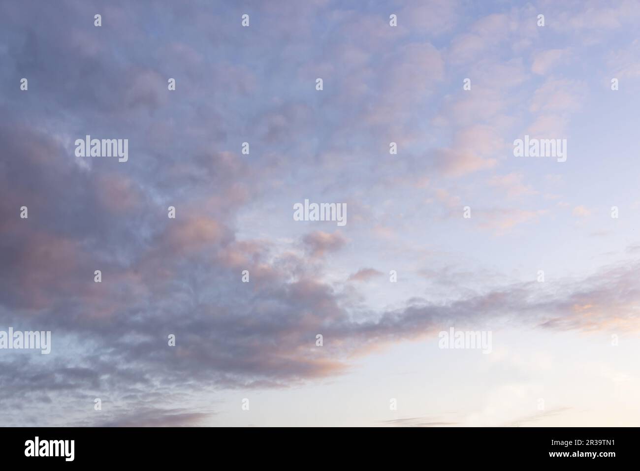 Ciel magnifique avec des nuages au coucher du soleil, remplacement du ciel, arrière-plan de la nature Banque D'Images