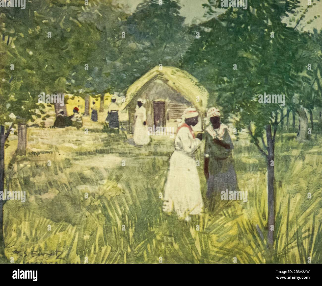 Hutte dans une plantation peinte par Archibald Stevenson (A. S.) Forrest, du livre illustré « Jamaïque » de John Henderson, publié à Londres par Adam. Et Charles Black en 1906 Banque D'Images