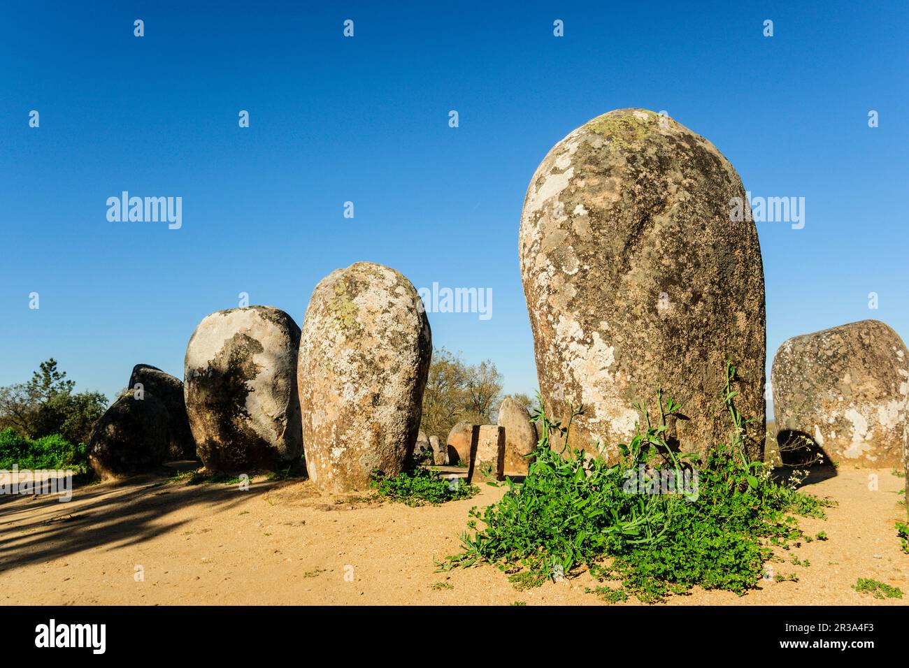 Dos Almendres Cromlech,neolitico antiguo -Alto das Pedras- Talhas, Nossa Senhora de Guadalupe,Valverde, Evora, Portugal, Alentejo, Europa. Banque D'Images