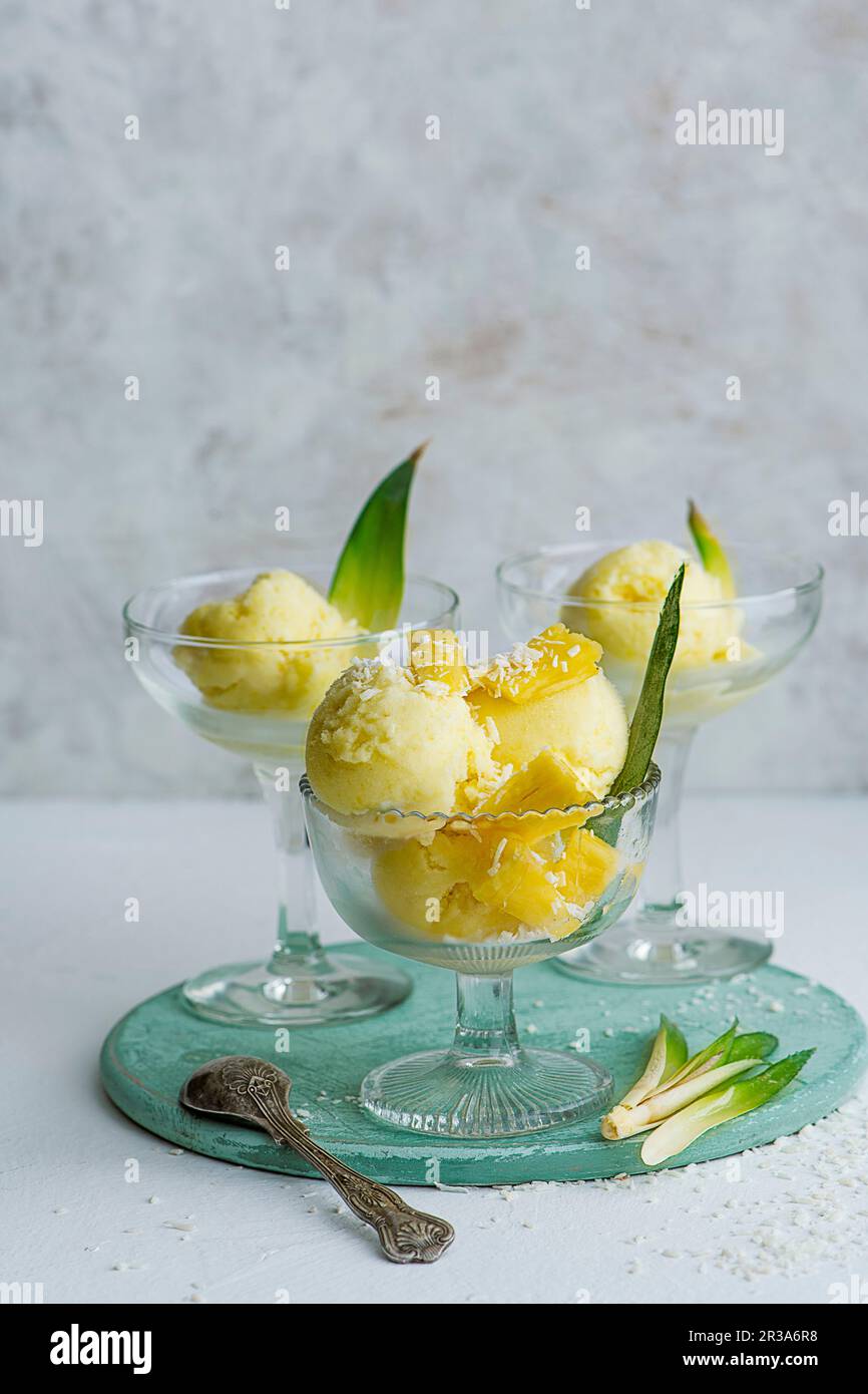 Sorbet ananas et noix de coco avec morceaux de pinaples frais servis dans des verres à tige Banque D'Images