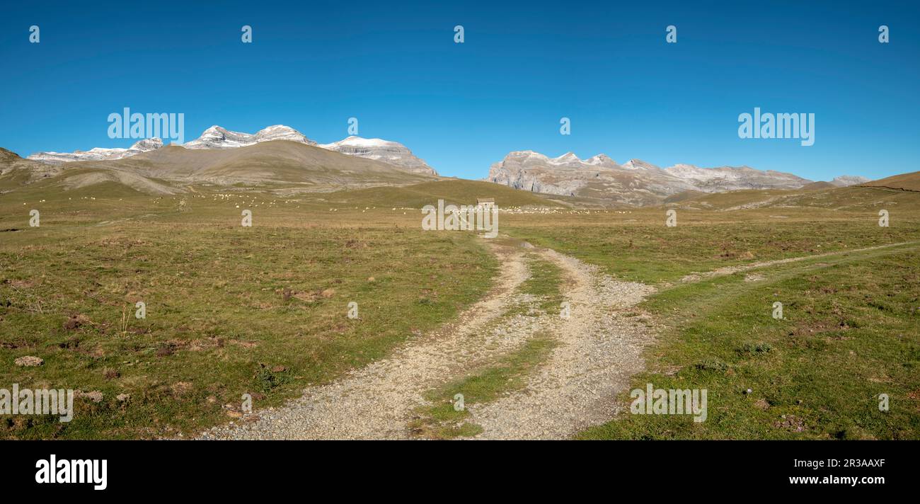Camino de la Sierra Custodia, Parque Nacional de Ordesa y Monte Perdido, comarca del Sobrarbe, Huesca, Aragón, cordillera de los Pirineos, Espagne. Banque D'Images