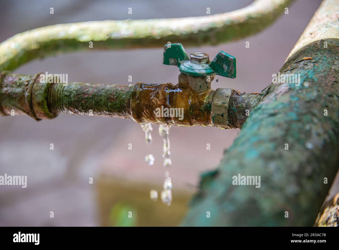 Fuite de vieux tuyaux à la place du robinet pour couper l'eau. Jardin, rural, cottage. Banque D'Images