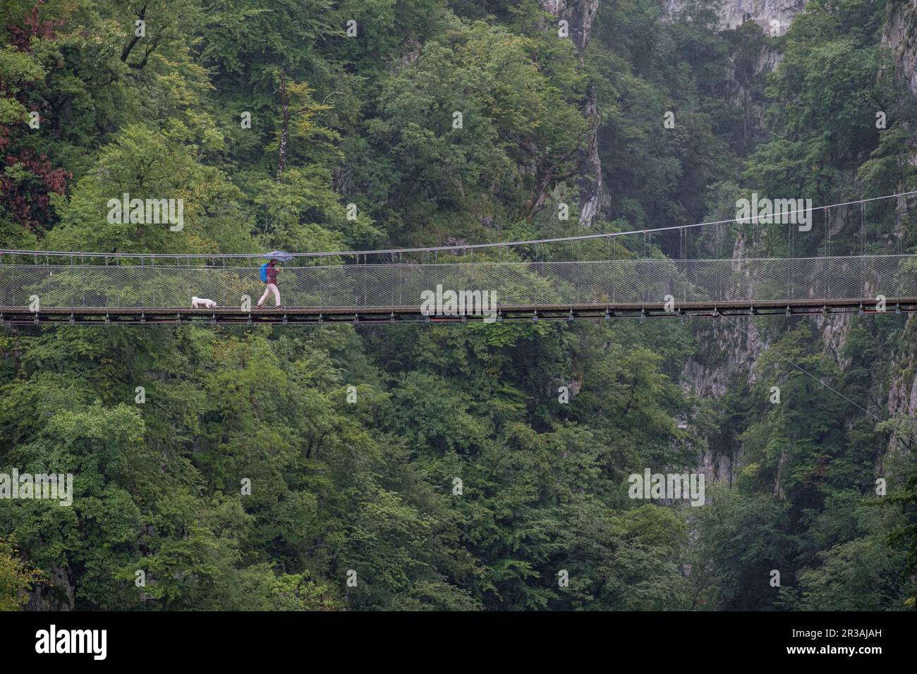 Senderistas con paraguas sobre la pasarela dHoltzarte, gargantas de Holzarté, Larrau, región de Aquitania, departamento de Pirineos Atlánticos, Francia. Banque D'Images