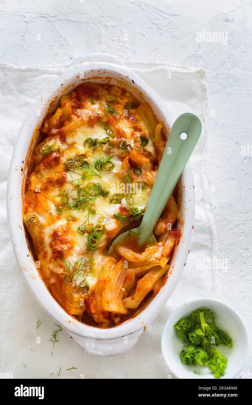 Gratin de fenouil Banque D'Images
