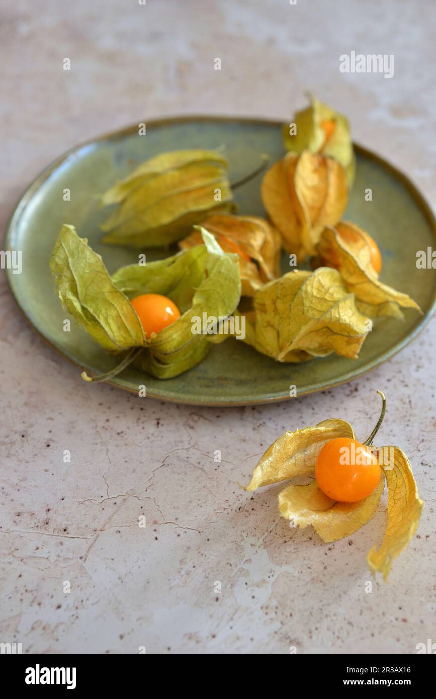 Physalis sur une plaque Banque D'Images