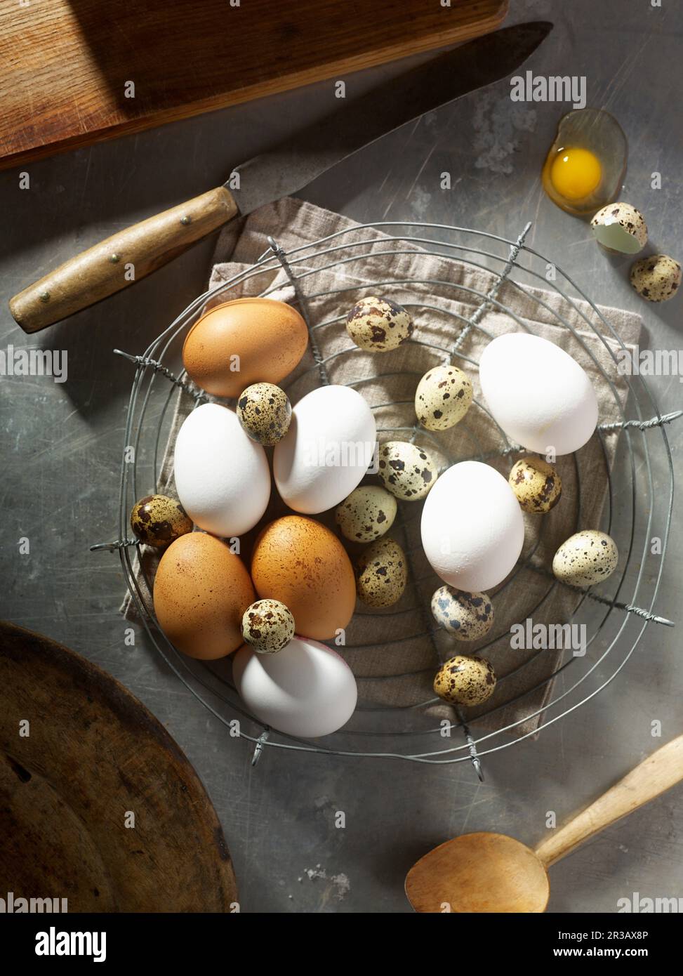 Œufs de poule bruns et blancs avec œufs de caille mouchetés Banque D'Images