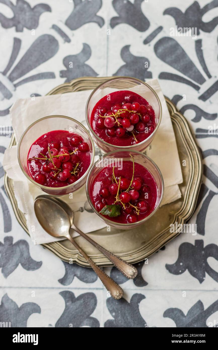 Panna cotta au chocolat blanc avec sauce au cassis Banque D'Images