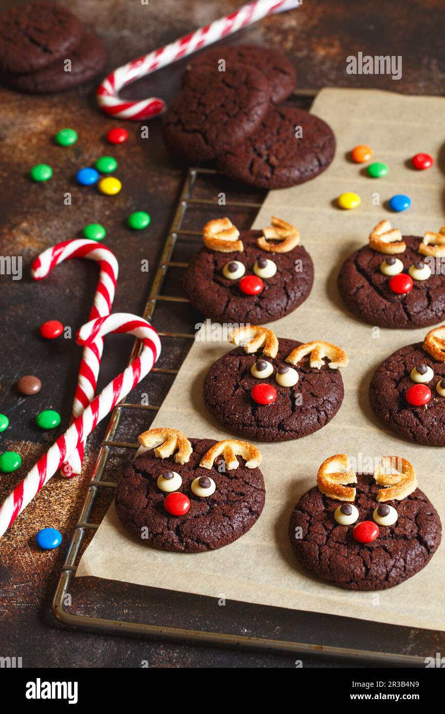 Biscuits de renne avec bec rouge bonbon sur un papier de cuisson. Concept de Noël. Biscuits ronds avec un CHRI Banque D'Images