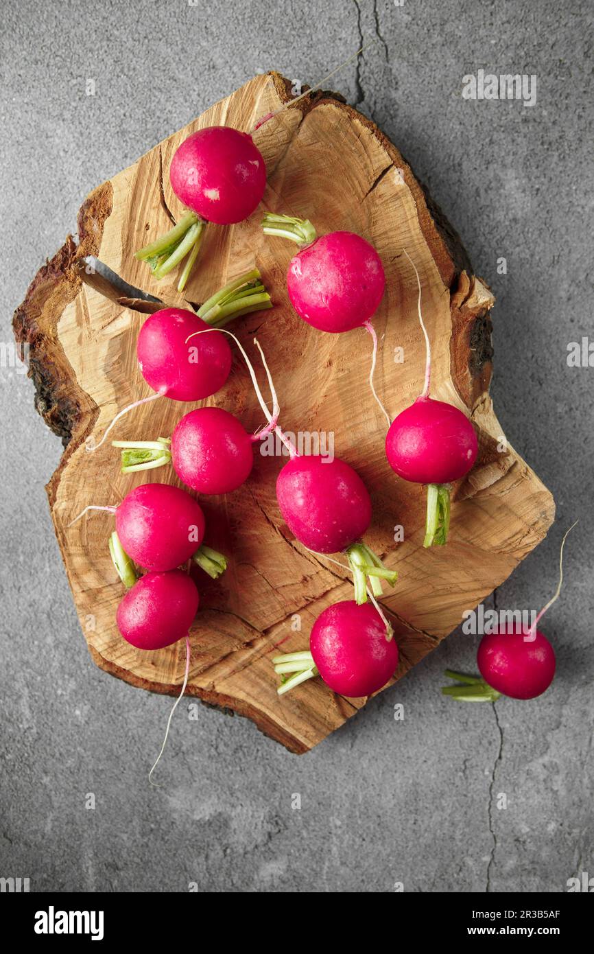 Radis violet coloré fraîchement récolté sur planche à découper en bois. Radis en croissance. Culture de légumes Banque D'Images