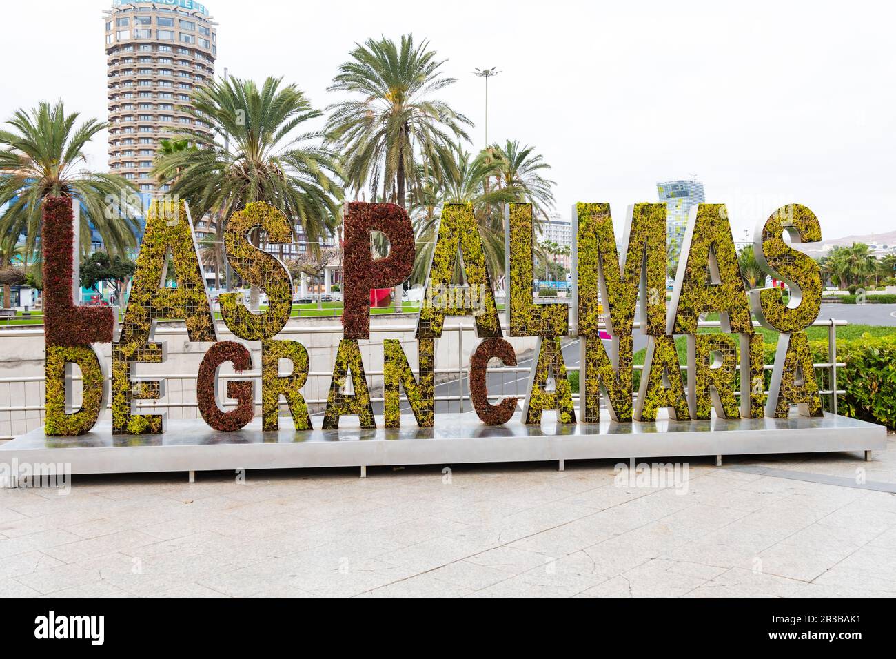Panneau Las Palmas de Gran Canaria avec feuillage vivant. Las Palmas, Grande Canarie, Espagne Banque D'Images