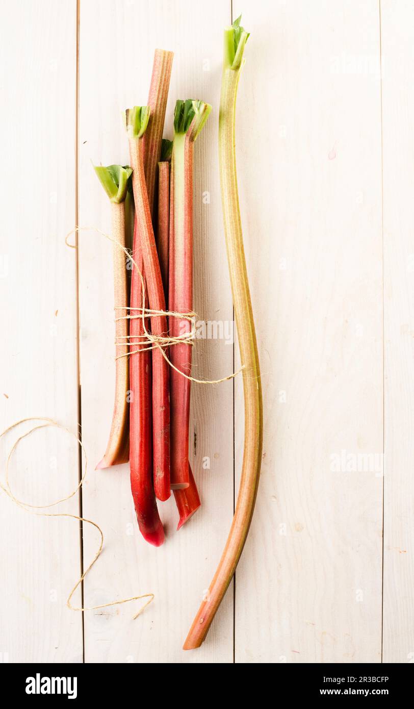 Bouquet de rhubarbe Banque D'Images