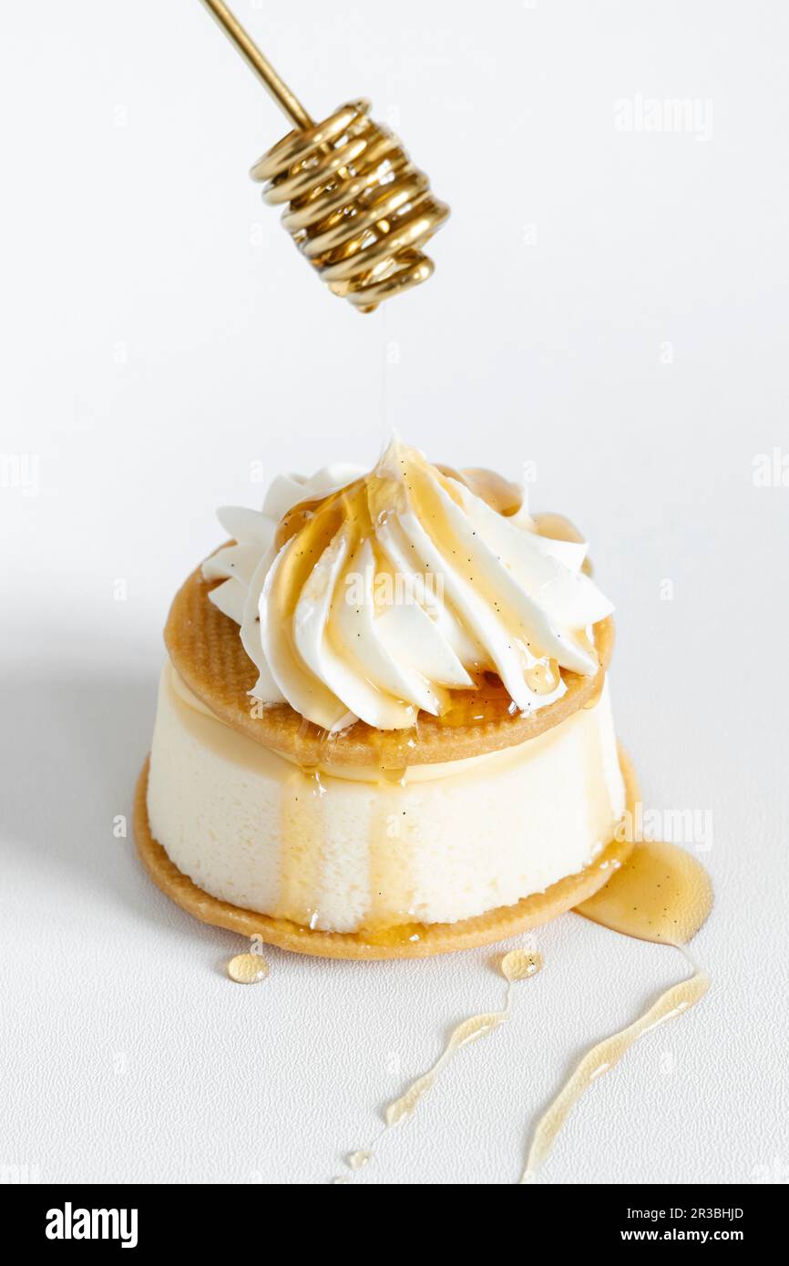 Cheesecake à la ricotta vanille Banque D'Images