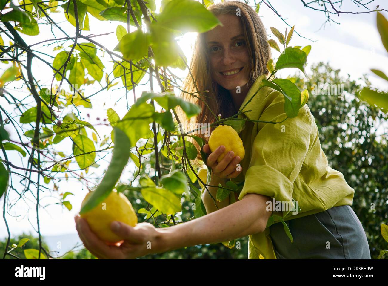 Femme souriante près d'un citronnier dans un verger Banque D'Images