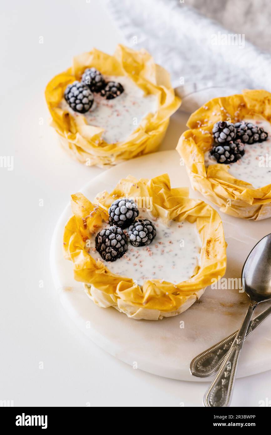 Tartelettes phyllo au chocolat au mûre et au rubis de Chia pudding Banque D'Images