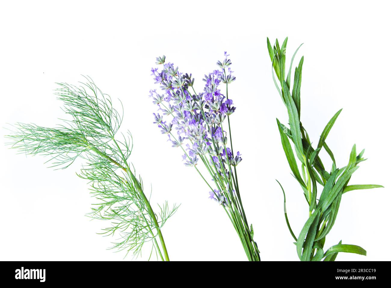 Trois types d'herbes aromatiques ressemblant à des fleurs aériennes Banque D'Images