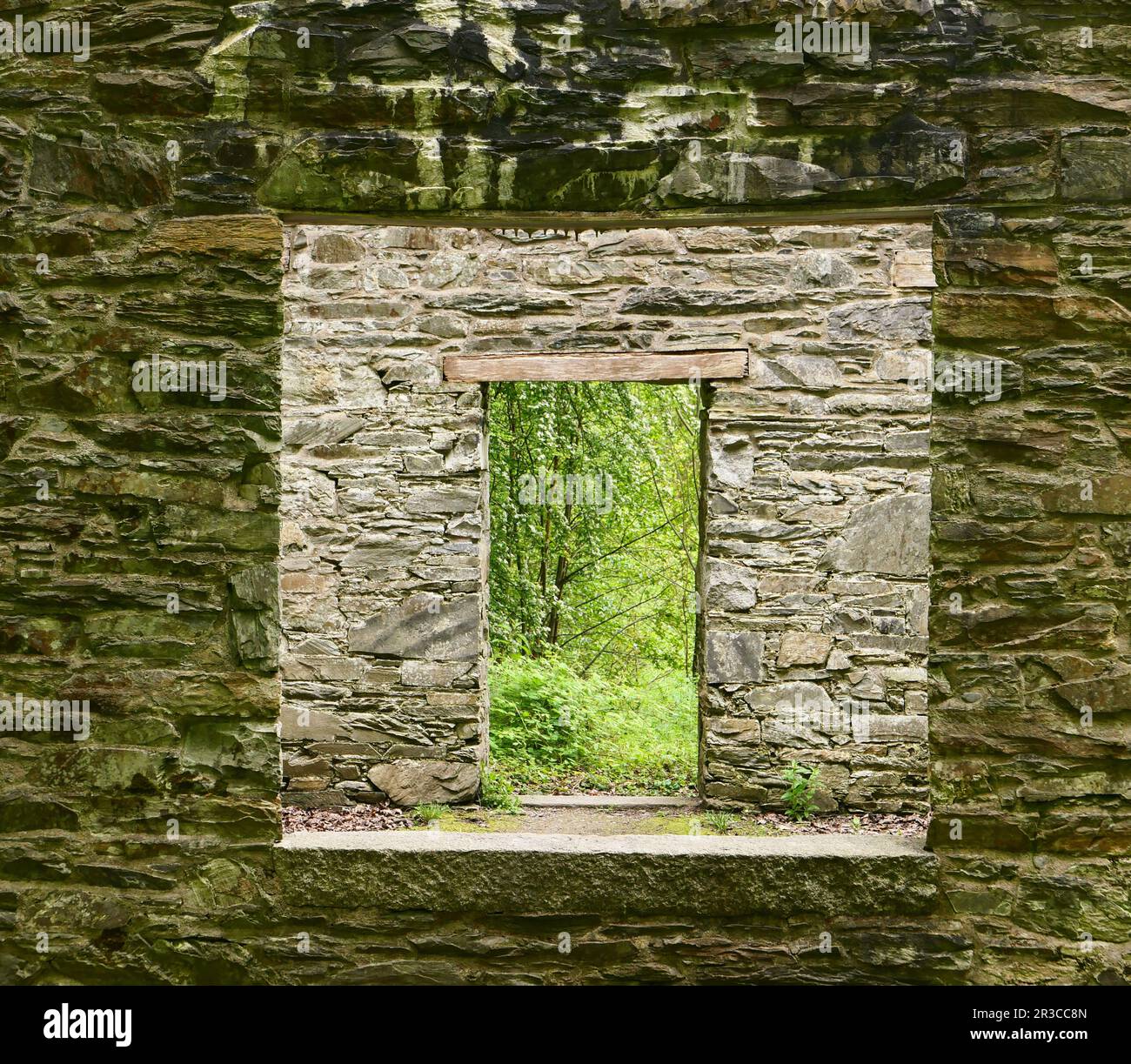 Cally Old School, Galloway Forest Park, Gatehouse of Fleet, Dumfries et Galloway, Écosse, ROYAUME-UNI Banque D'Images