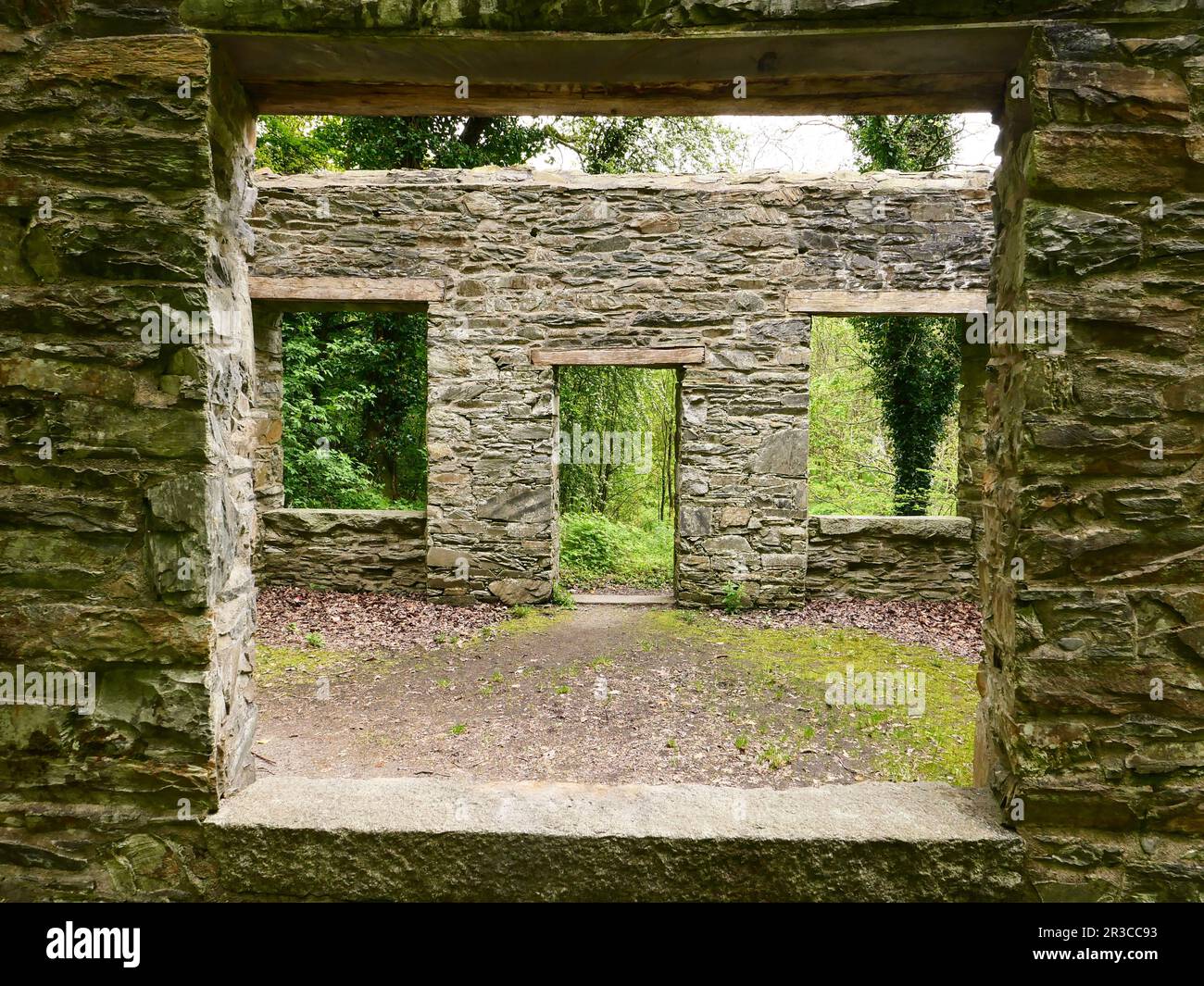 Cally Old School, Galloway Forest Park, Gatehouse of Fleet, Dumfries et Galloway, Écosse, ROYAUME-UNI Banque D'Images