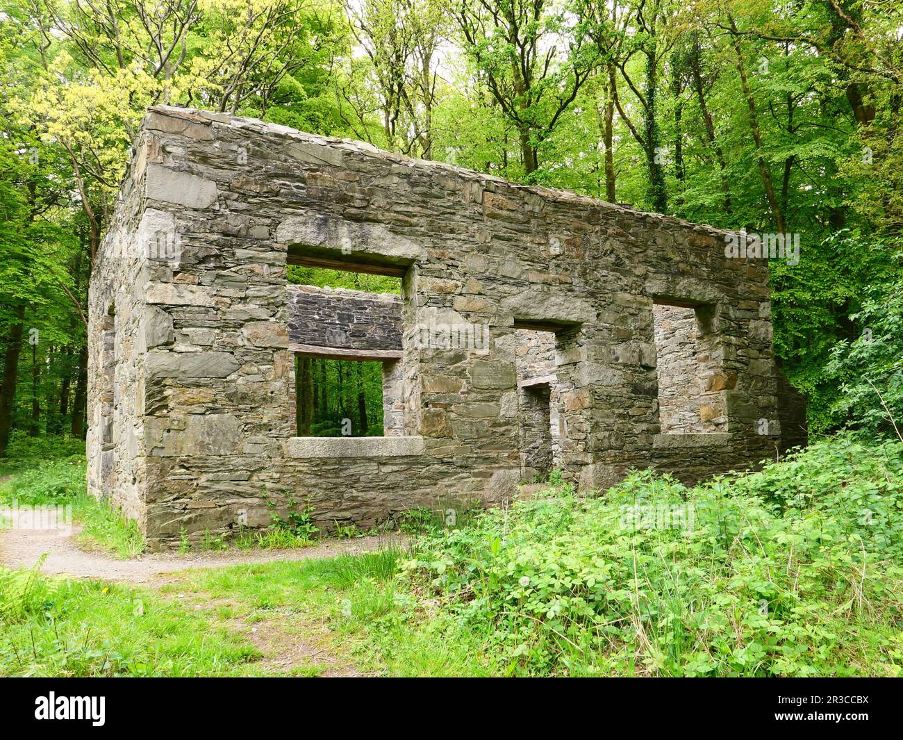 Cally Old School, Galloway Forest Park, Gatehouse of Fleet, Dumfries et Galloway, Écosse, ROYAUME-UNI Banque D'Images