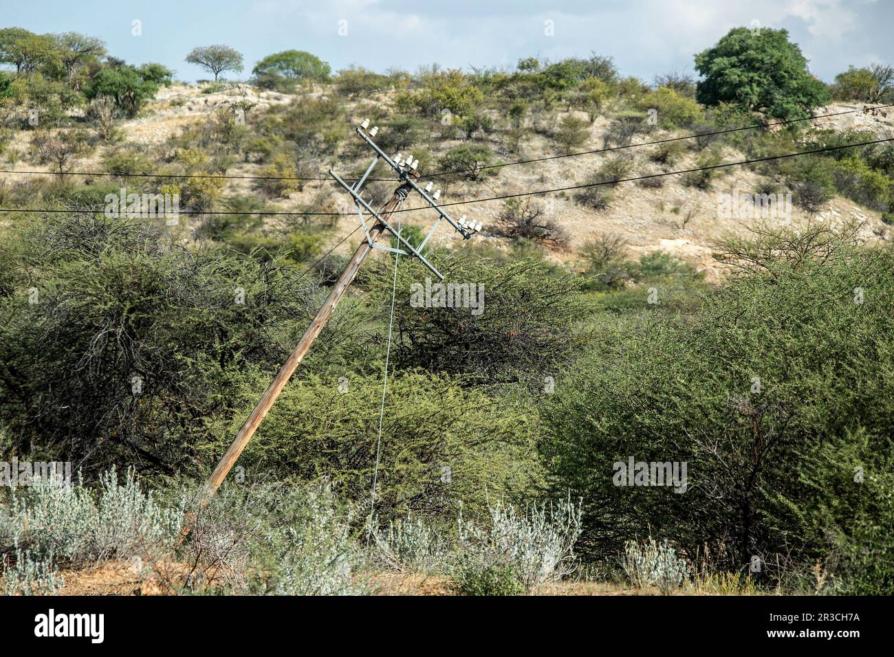 Un poteau de télégraphe cassé et penché dans la brousse, avec de vieux isolants. Câbles et haubans le maintenant en place. Dommages - causés par l'activité des termites Banque D'Images