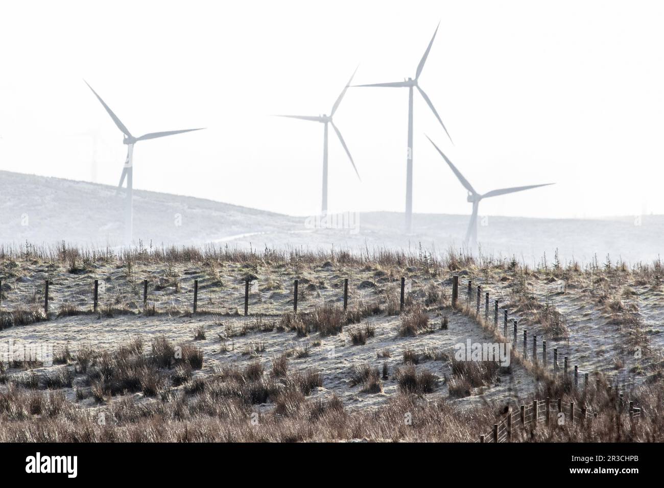 Quatre éoliennes se faisant traverser la brume, avec un jet de neige légère, dans les collines écossaises. Banque D'Images