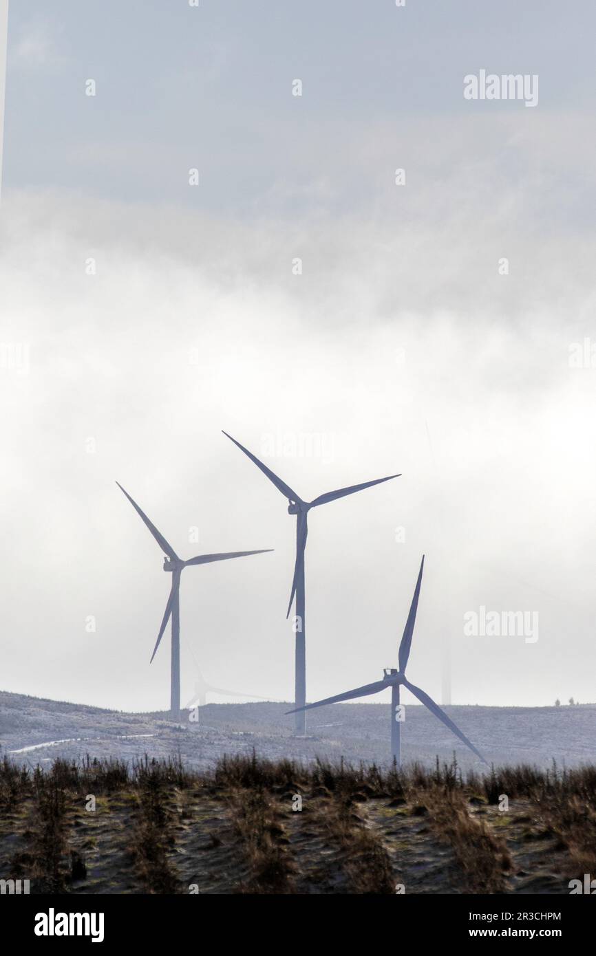 Trois éoliennes qui se manifestent à travers la brume, avec un jet de neige légère, dans les collines écossaises. Banque D'Images