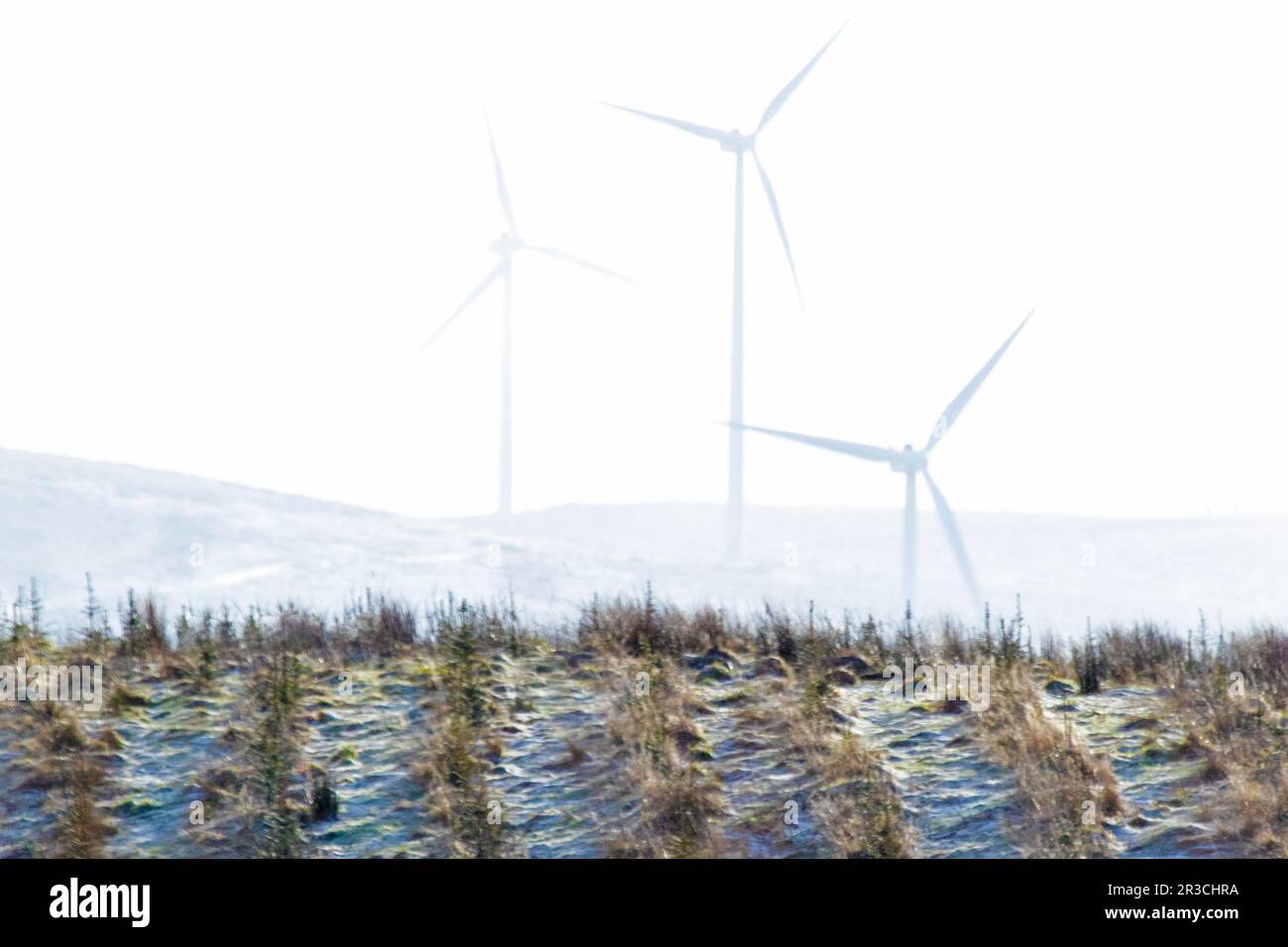 Trois éoliennes qui se manifestent à travers la brume, avec un jet de neige légère, dans les collines écossaises. Banque D'Images