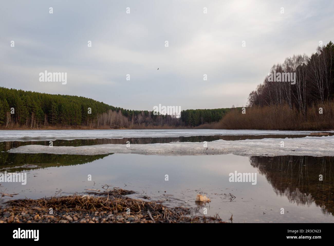 Les ruisseaux de source dans la nature. La neige fond dans un grand lac et des ruisseaux clairs courent. La nature contre le ciel bleu, les lacs et les forêts. Magnifique dos naturel Banque D'Images