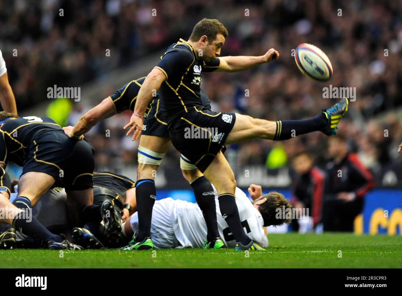 Greig Laidlaw, d'Écosse, se retire lors du match des RBS 6 Nations entre l'Angleterre et l'Écosse à Twickenham le samedi 02 février 2013 (Phot Banque D'Images