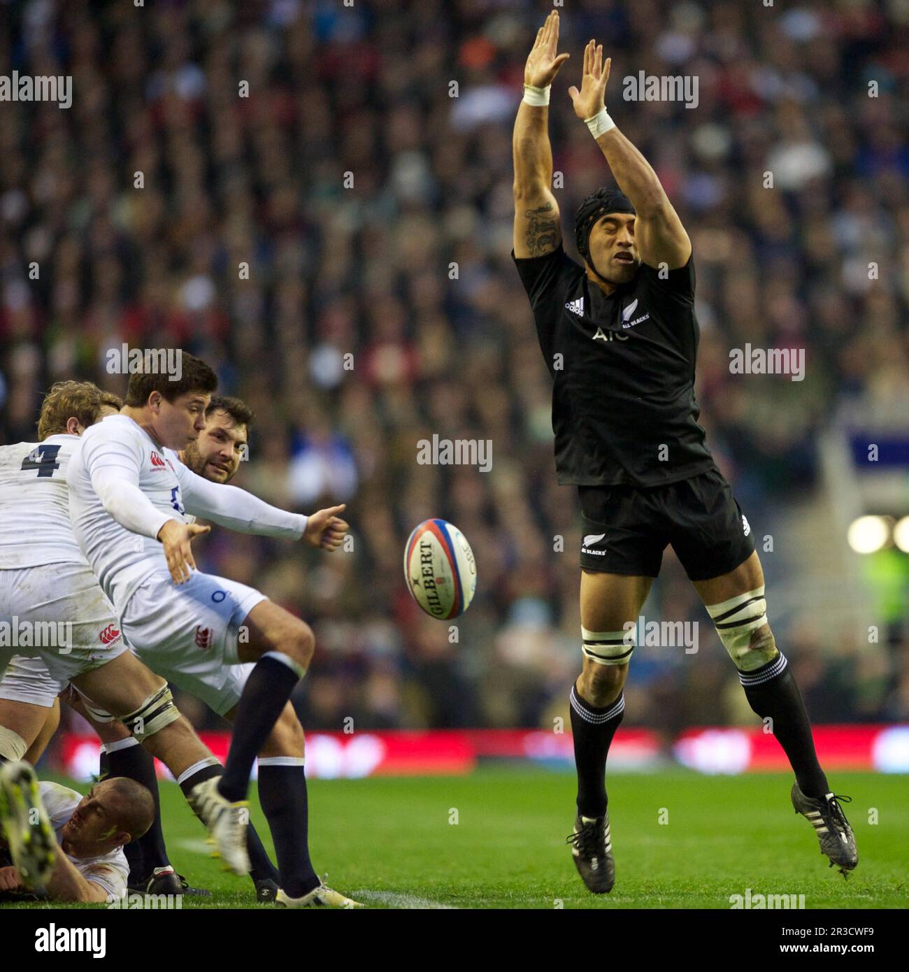 Victor Vito, de Nouvelle-Zélande, tente de bloquer le coup de pied de Ben Youngs, d'Angleterre, lors du match international d'automne QBE entre l'Angleterre et la Nouvelle-Zélande Banque D'Images