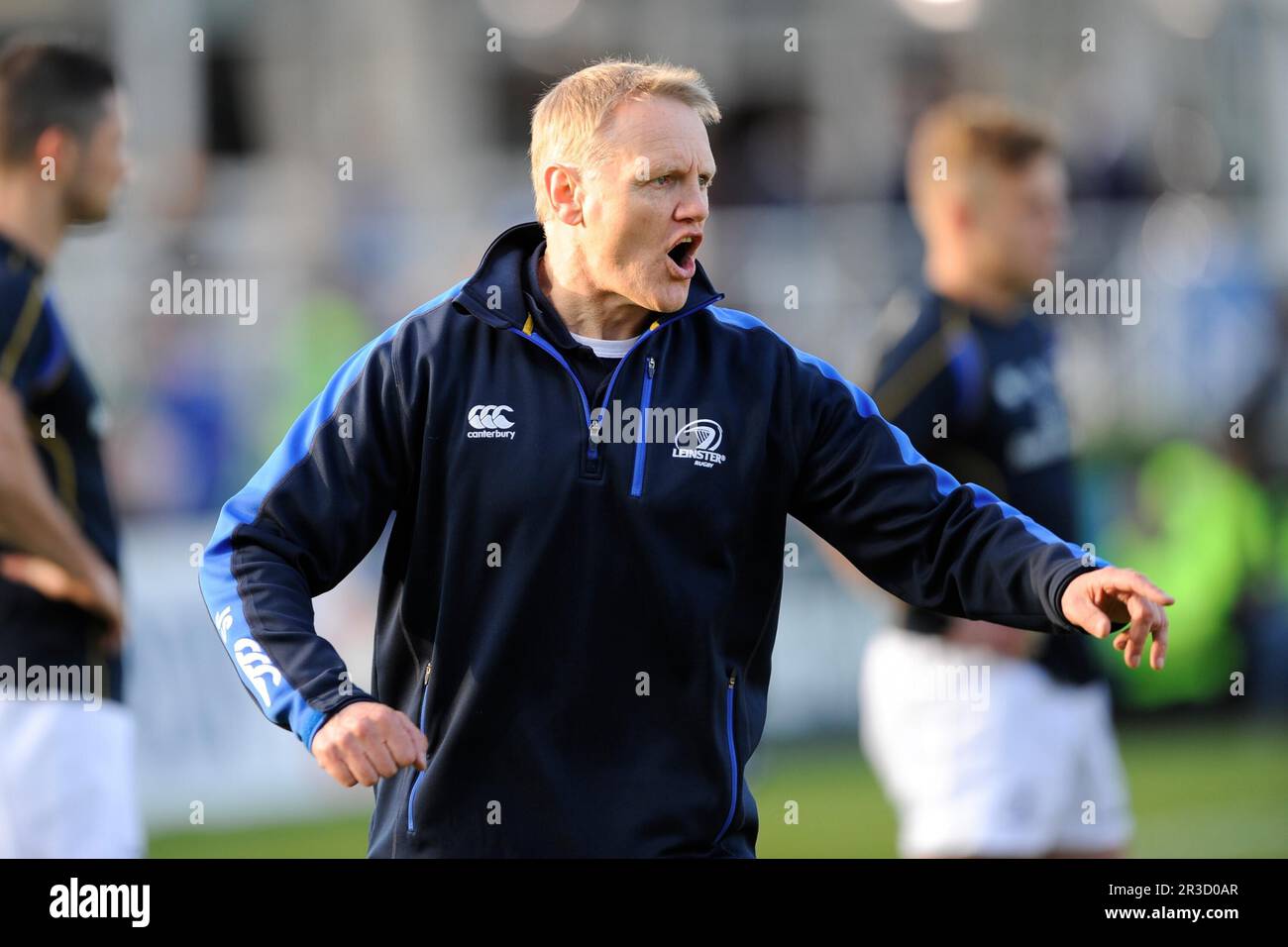 Joe Schmidt, Leinster Head Coach, avant la finale de la coupe Amlin Challenge entre Leinster Rugby et Stade Francais à la RDS Arena, Dublin, vendredi 17 Banque D'Images