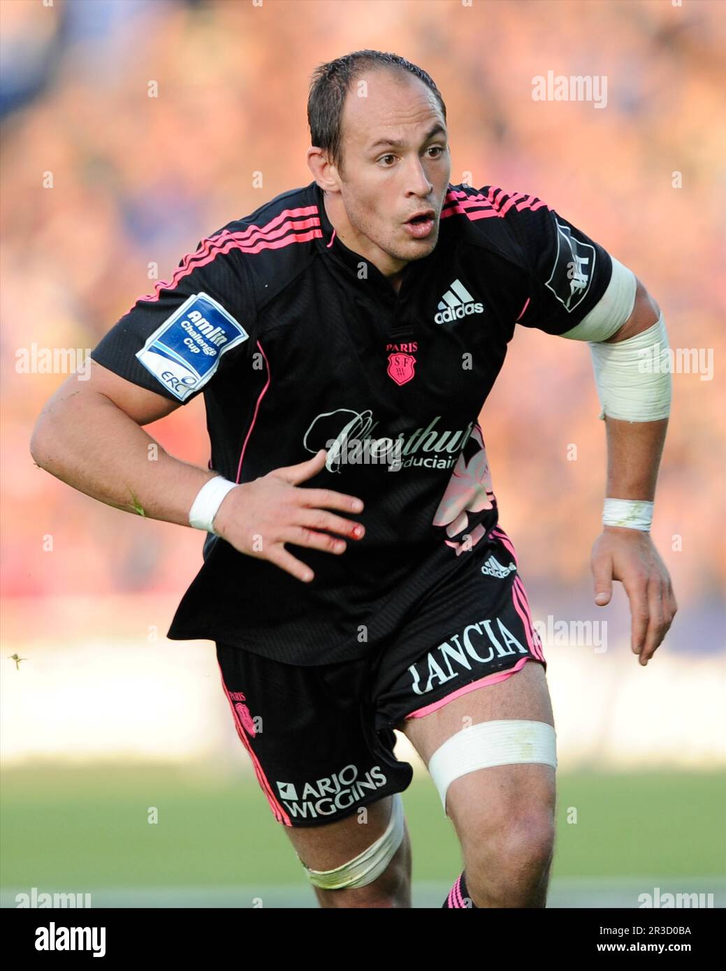 Sergio Parisse de Stade Francais lors de la finale de la coupe Amlin Challenge entre Leinster Rugby et Stade Francais à la RDS Arena, Dublin, vendredi 17t Banque D'Images